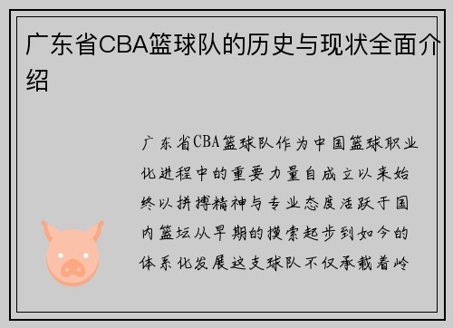广东省CBA篮球队的历史与现状全面介绍