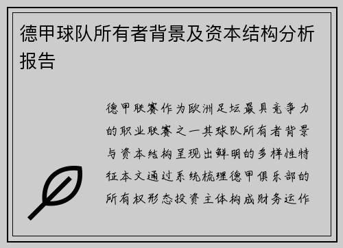 德甲球队所有者背景及资本结构分析报告